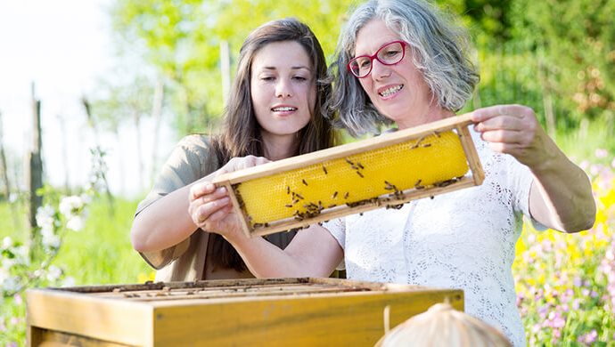 Angelika und Rosemarie Juergens schauen sich den Bienenkasten an